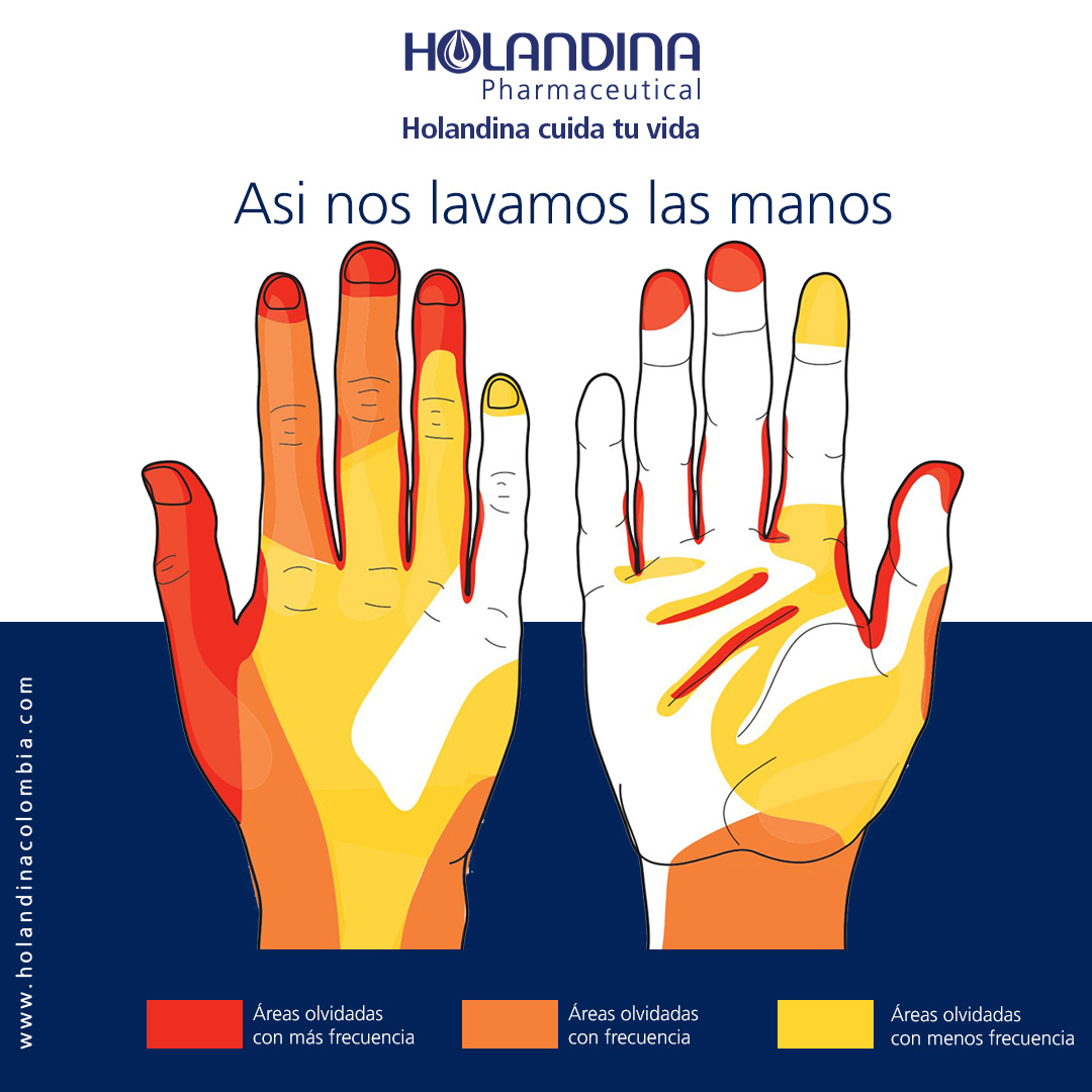 areas de mayor contaminación en las manos, usar un jabon de manos idoneo permite su adecuada higiene. use Germidina Holandina Colombia