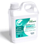 Desinfectante concentrado HZ 500 con ácido peracético 1000 mL